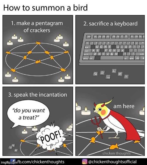 Birb comic: how to summon a bird | image tagged in birb,comics | made w/ Imgflip meme maker