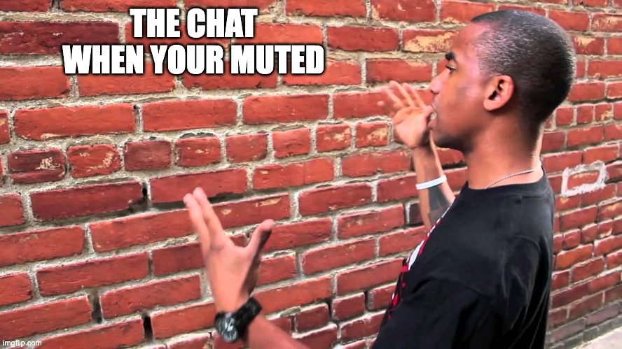 when you get muted | THE CHAT WHEN YOUR MUTED | image tagged in talking to wall,memes | made w/ Imgflip meme maker