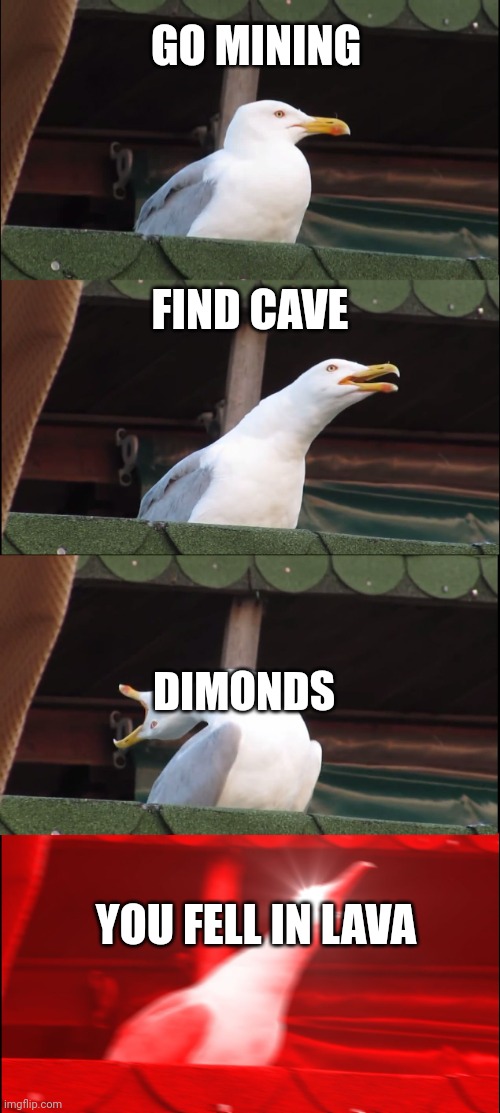 Minecraft and luck | GO MINING; FIND CAVE; DIMONDS; YOU FELL IN LAVA | image tagged in memes,inhaling seagull | made w/ Imgflip meme maker