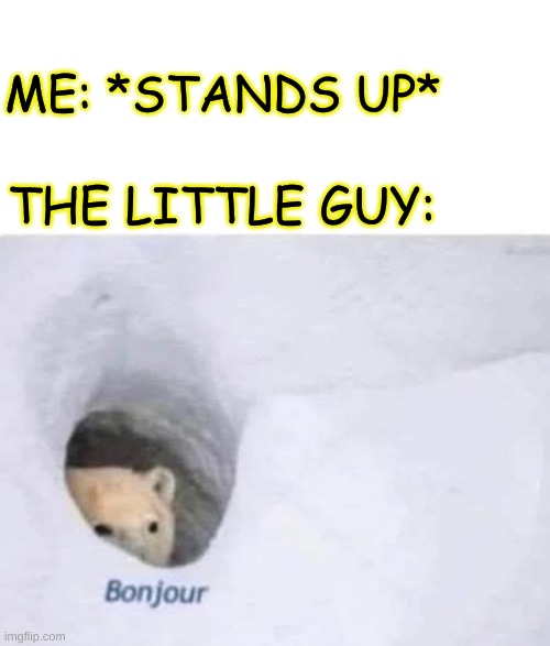 most guys would understand | ME: *STANDS UP*; THE LITTLE GUY: | image tagged in bonjour,funny,fun,bruh moment,that moment when,oh wow are you actually reading these tags | made w/ Imgflip meme maker
