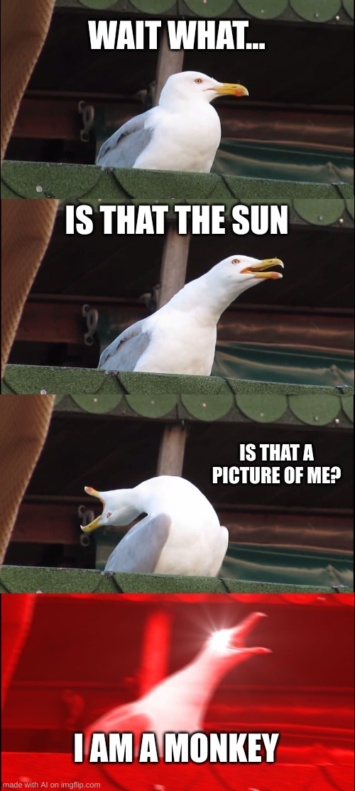 umm, ok? | WAIT WHAT... IS THAT THE SUN; IS THAT A PICTURE OF ME? I AM A MONKEY | image tagged in memes,inhaling seagull,ai meme | made w/ Imgflip meme maker