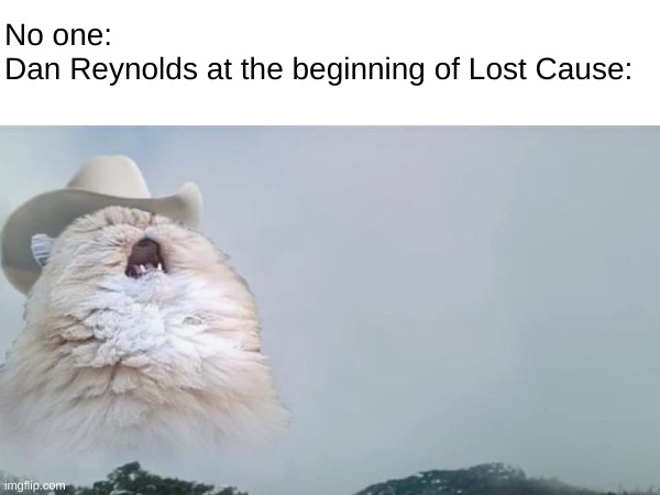 AAOOOOOOOOOOOOOOWWWWWWWWWWWWWWWWW | No one:
Dan Reynolds at the beginning of Lost Cause: | image tagged in aaaaaaaaaaaaaaaaaaaaaaaaaaa,imagine dragons,screaming cowboy cat | made w/ Imgflip meme maker
