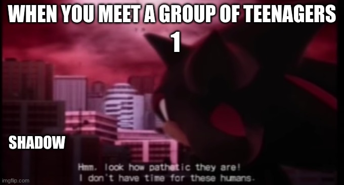 Shadow I don´t have time for those humans | WHEN YOU MEET A GROUP OF TEENAGERS; 1; SHADOW | image tagged in shadow i don t have time for those humans | made w/ Imgflip meme maker