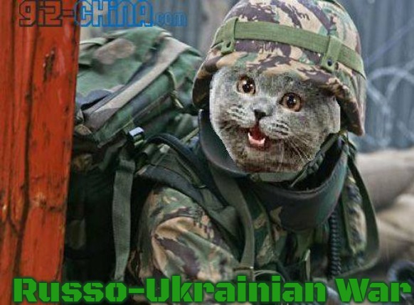 Army Cat | Russo-Ukrainian War | image tagged in army cat,russo-ukrainian war,slavic | made w/ Imgflip meme maker
