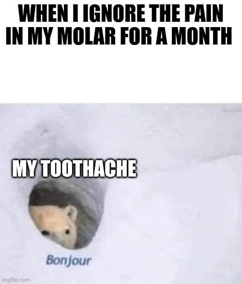 I ignored my toothache | WHEN I IGNORE THE PAIN IN MY MOLAR FOR A MONTH; MY TOOTHACHE | image tagged in bonjour | made w/ Imgflip meme maker