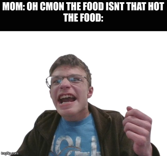 I mean, hear me out | MOM: OH CMON THE FOOD ISNT THAT HOT
THE FOOD: | image tagged in goffy ass me | made w/ Imgflip meme maker