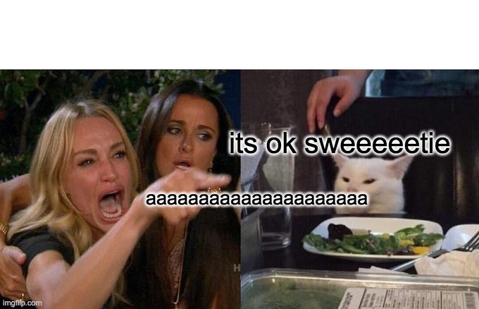 Woman Yelling At Cat | its ok sweeeeetie; aaaaaaaaaaaaaaaaaaaaa | image tagged in memes,woman yelling at cat | made w/ Imgflip meme maker