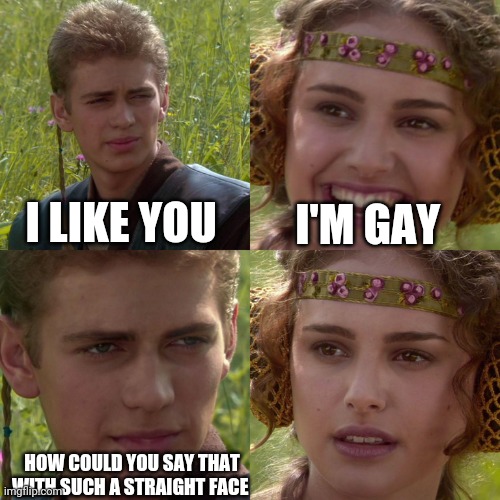 Hehe | I LIKE YOU; I'M GAY; HOW COULD YOU SAY THAT WITH SUCH A STRAIGHT FACE | image tagged in anakin padme 4 panel | made w/ Imgflip meme maker