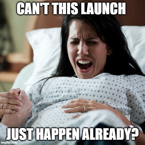 Woman in labor | CAN'T THIS LAUNCH; JUST HAPPEN ALREADY? | image tagged in woman in labor | made w/ Imgflip meme maker