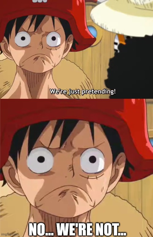 We're just pretending | NO... WE'RE NOT... | image tagged in one piece | made w/ Imgflip meme maker