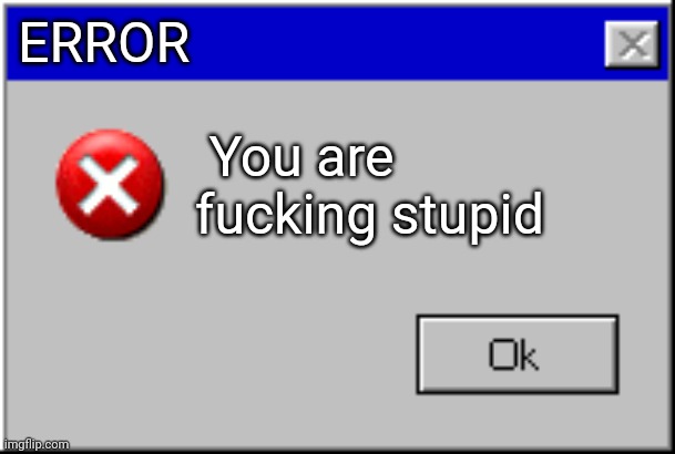 Windows Error Message | ERROR You are fucking stupid | image tagged in windows error message | made w/ Imgflip meme maker