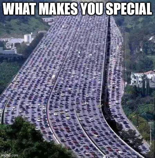 worlds biggest traffic jam | WHAT MAKES YOU SPECIAL | image tagged in worlds biggest traffic jam | made w/ Imgflip meme maker