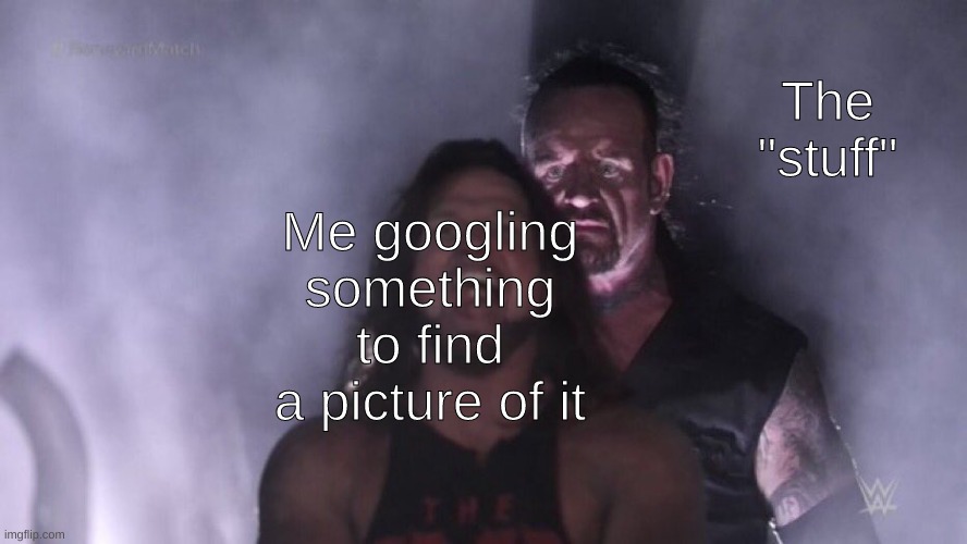 idk |  The "stuff"; Me googling something to find a picture of it | image tagged in aj styles undertaker,memes,random tag | made w/ Imgflip meme maker