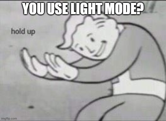 Fallout Hold Up | YOU USE LIGHT MODE? | image tagged in fallout hold up | made w/ Imgflip meme maker