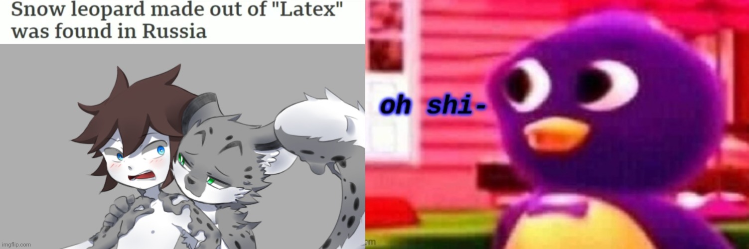 Well, WERE DOOMED GUYS! | image tagged in snow leopard,oh shi- | made w/ Imgflip meme maker