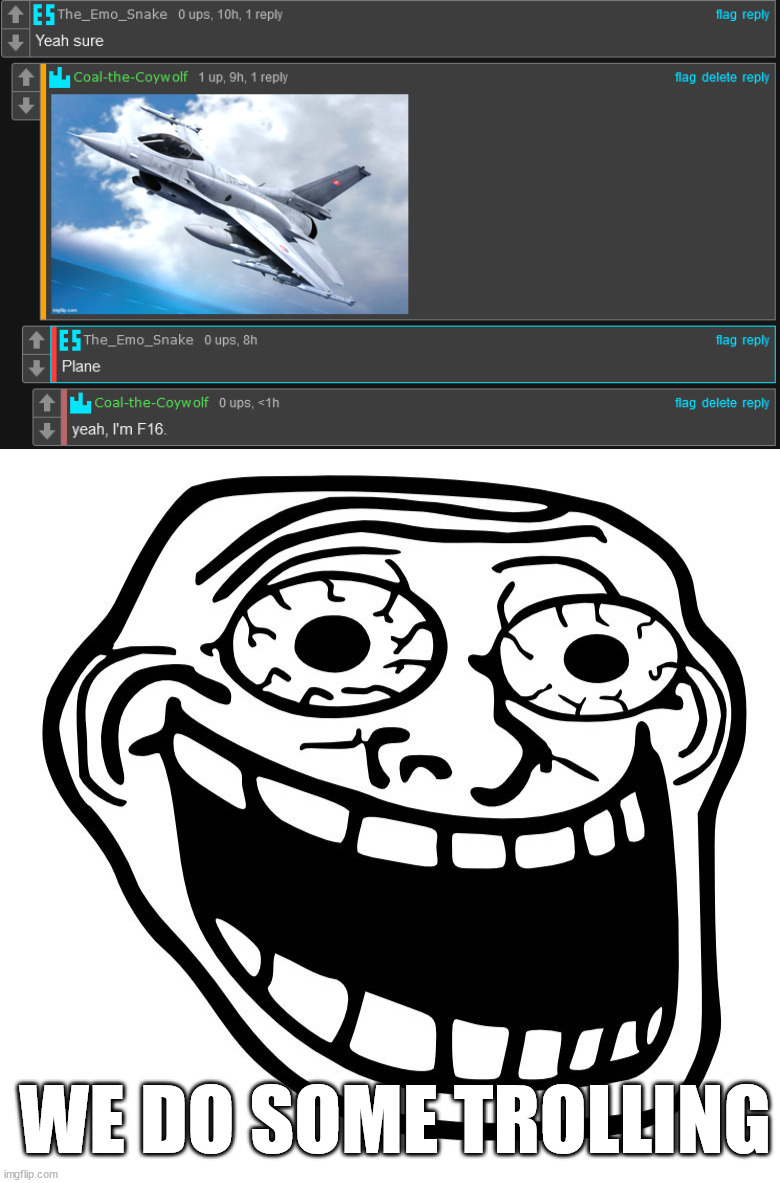 WE DO SOME TROLLING | image tagged in crazy trollface | made w/ Imgflip meme maker