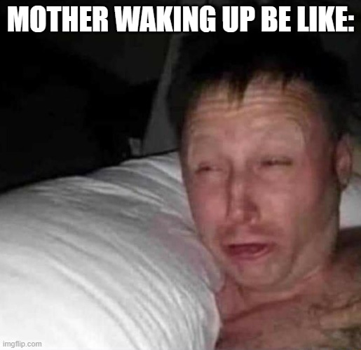 Sleepy guy | MOTHER WAKING UP BE LIKE: | image tagged in sleepy guy | made w/ Imgflip meme maker