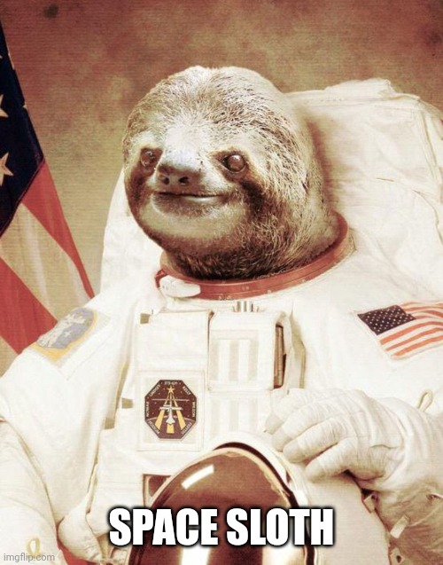 Space sloth | SPACE SLOTH | image tagged in sloth,space,astronomy,famous | made w/ Imgflip meme maker