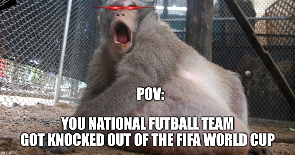 MONKEY |  POV:; YOU NATIONAL FUTBALL TEAM GOT KNOCKED OUT OF THE FIFA WORLD CUP | image tagged in fifa | made w/ Imgflip meme maker