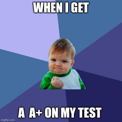 Success Kid |  WHEN I GET; A  A+ ON MY TEST | image tagged in memes,success kid | made w/ Imgflip meme maker