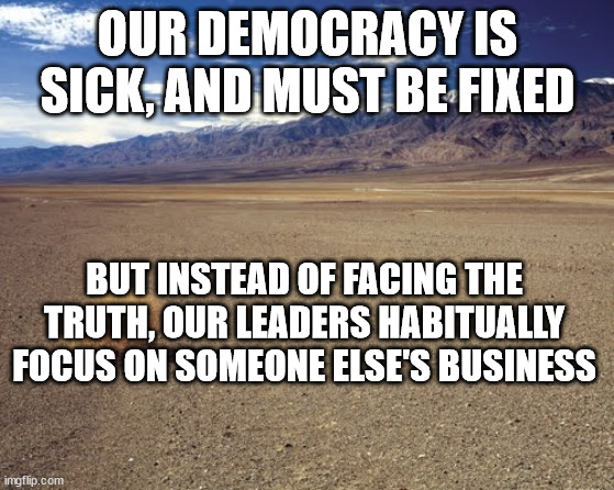 desert tumbleweed | OUR DEMOCRACY IS SICK, AND MUST BE FIXED; BUT INSTEAD OF FACING THE TRUTH, OUR LEADERS HABITUALLY FOCUS ON SOMEONE ELSE'S BUSINESS | image tagged in desert tumbleweed | made w/ Imgflip meme maker