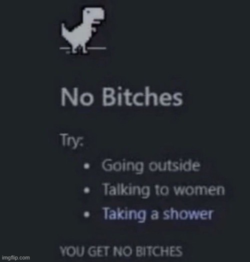 you get no bitches | image tagged in you get no bitches | made w/ Imgflip meme maker