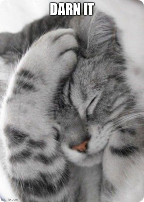 DarnItCat | DARN IT | image tagged in darnitcat | made w/ Imgflip meme maker