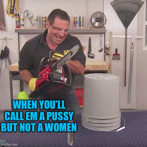 Flex Seal Chainsaw | WHEN YOU’LL CALL EM A PUSSY BUT NOT A WOMEN | image tagged in flex seal chainsaw | made w/ Imgflip meme maker