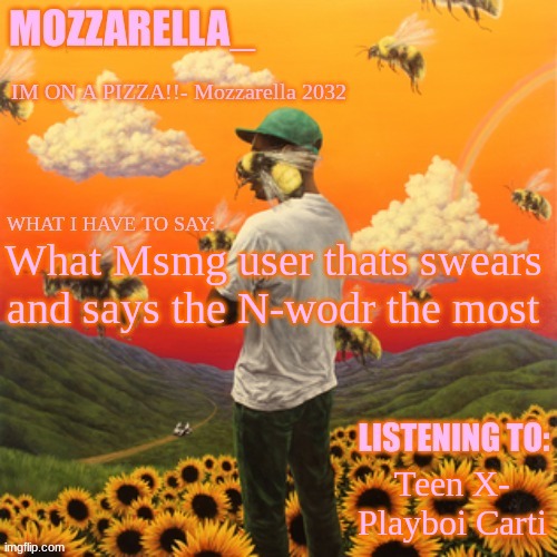 Flower Boy | What Msmg user thats swears and says the N-wodr the most; Teen X- Playboi Carti | image tagged in flower boy | made w/ Imgflip meme maker