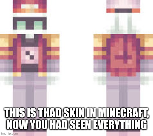 THIS IS THAD SKIN IN MINECRAFT, NOW YOU HAD SEEN EVERYTHING | made w/ Imgflip meme maker