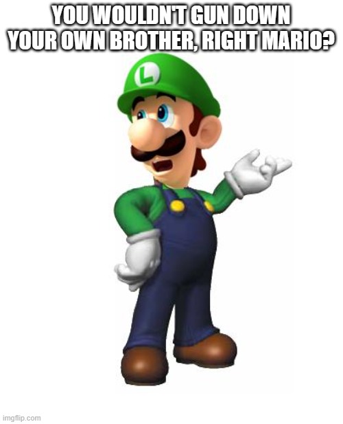 Logic Luigi | YOU WOULDN'T GUN DOWN YOUR OWN BROTHER, RIGHT MARIO? | image tagged in logic luigi | made w/ Imgflip meme maker