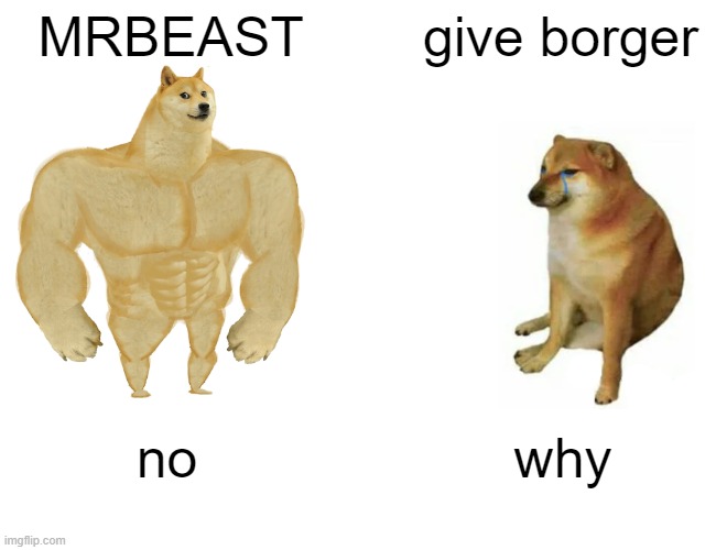 mrborger | MRBEAST; give borger; no; why | image tagged in memes,buff doge vs cheems | made w/ Imgflip meme maker