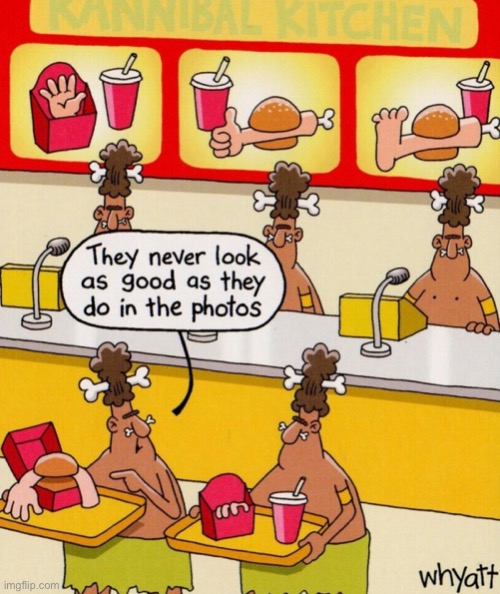 Fast food | image tagged in eat in or take away,do not look as good,as they do in photos | made w/ Imgflip meme maker