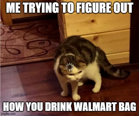 Cat think | ME TRYING TO FIGURE OUT HOW YOU DRINK WALMART BAG | image tagged in cat think | made w/ Imgflip meme maker