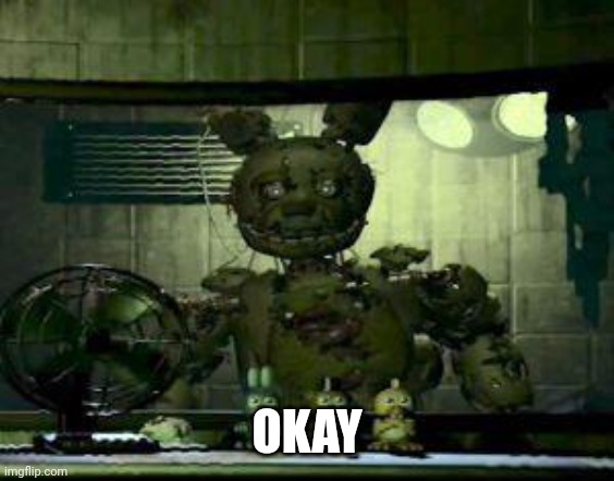 FNAF Springtrap in window | OKAY | image tagged in fnaf springtrap in window | made w/ Imgflip meme maker