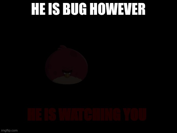 HE IS BUG HOWEVER HE IS WATCHING YOU | made w/ Imgflip meme maker
