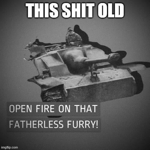 Anti-fur Stug (thx zero-two) | THIS SHIT OLD | image tagged in anti-fur stug thx zero-two | made w/ Imgflip meme maker