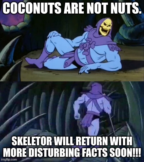 Skeletor disturbing facts | COCONUTS ARE NOT NUTS. SKELETOR WILL RETURN WITH MORE DISTURBING FACTS SOON!!! | image tagged in skeletor disturbing facts | made w/ Imgflip meme maker