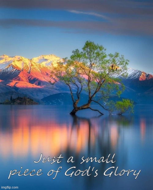 Just a small piece of God's Glory | image tagged in tree,lake,mountain | made w/ Imgflip meme maker