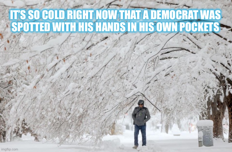 That’s really cold | IT’S SO COLD RIGHT NOW THAT A DEMOCRAT WAS 
SPOTTED WITH HIS HANDS IN HIS OWN POCKETS | image tagged in snow | made w/ Imgflip meme maker