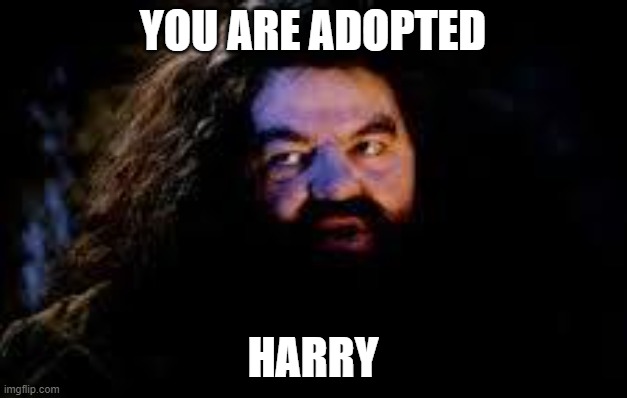 adoption | YOU ARE ADOPTED; HARRY | image tagged in your a wizard harry,adopted | made w/ Imgflip meme maker