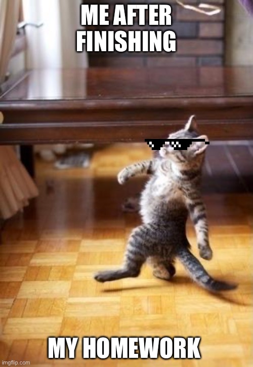 Cool Cat Stroll Meme | ME AFTER FINISHING; MY HOMEWORK | image tagged in memes,cool cat stroll | made w/ Imgflip meme maker