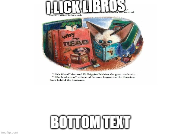 i lick libros | I LICK LIBROS; BOTTOM TEXT | image tagged in memes,cat | made w/ Imgflip meme maker