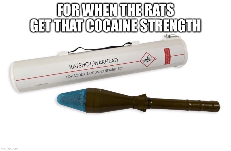 What happened to ratatouille??? | FOR WHEN THE RATS GET THAT COCAINE STRENGTH | image tagged in funny,meme,lol,wtf,drugs,bruh | made w/ Imgflip meme maker