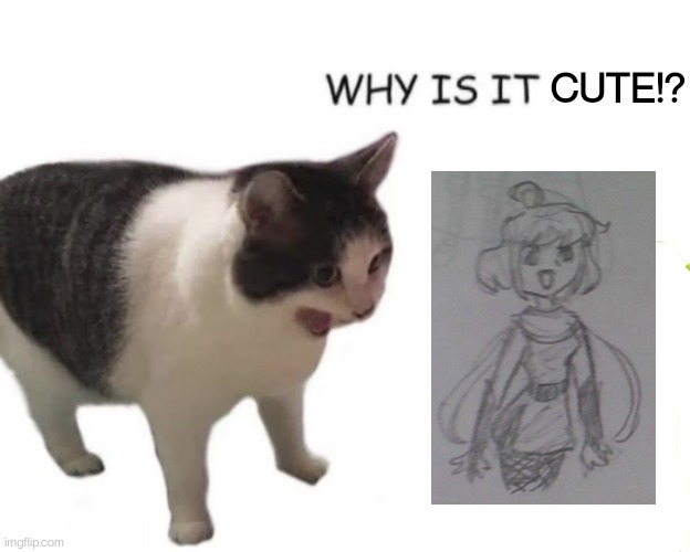 cat screaming | CUTE!? | image tagged in cat screaming | made w/ Imgflip meme maker