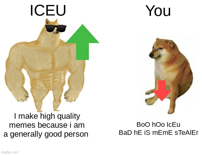 Buff Doge vs. Cheems Meme | ICEU You I make high quality memes because i am a generally good person BoO hOo IcEu BaD hE iS mEmE sTeAlEr | image tagged in memes,buff doge vs cheems | made w/ Imgflip meme maker