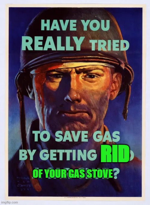 OF YOUR GAS STOVE; RID | image tagged in memes | made w/ Imgflip meme maker