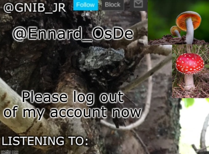 Gnib_Jr's new temp | @Ennard_OsDe; Please log out of my account now | image tagged in gnib_jr's new temp | made w/ Imgflip meme maker