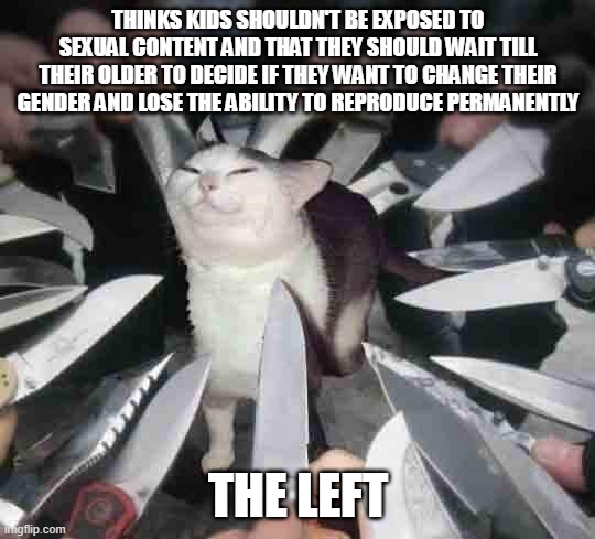 Heh, you can't change my mind | THINKS KIDS SHOULDN'T BE EXPOSED TO SEXUAL CONTENT AND THAT THEY SHOULD WAIT TILL THEIR OLDER TO DECIDE IF THEY WANT TO CHANGE THEIR GENDER AND LOSE THE ABILITY TO REPRODUCE PERMANENTLY; THE LEFT | image tagged in knife cat,cats,right wing,knife,smug | made w/ Imgflip meme maker
