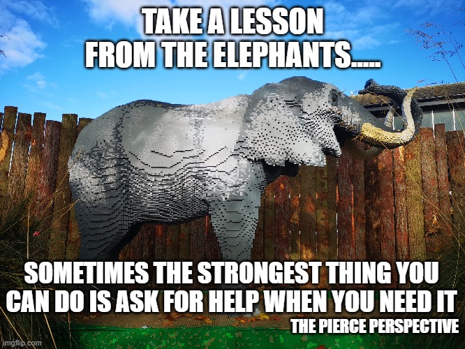 The Pierce Perspective - ake a lesson from the elephants - sometimes the strongest thing you can do is ask for help when you nee | TAKE A LESSON FROM THE ELEPHANTS..... SOMETIMES THE STRONGEST THING YOU CAN DO IS ASK FOR HELP WHEN YOU NEED IT; THE PIERCE PERSPECTIVE | image tagged in mental health,podcast,elephant,lego | made w/ Imgflip meme maker